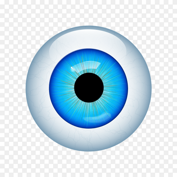Blue human eye macro over on transparent background PNG
