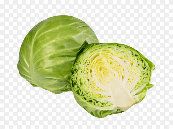 Cabbage isolated on transparent background PNG