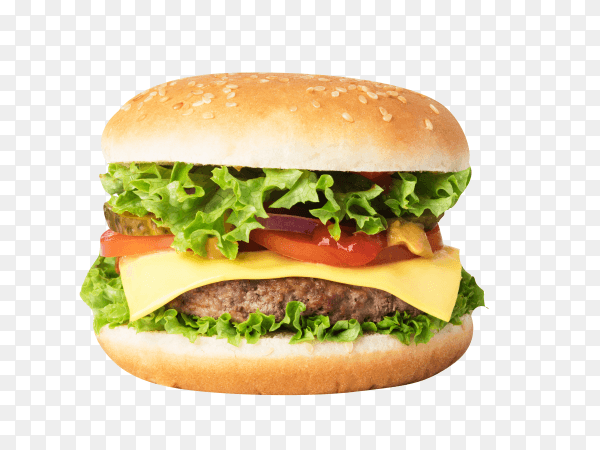 Delicious cheeseburger on transparent background PNG