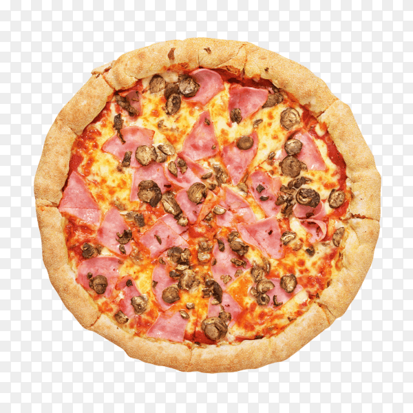 Delicious pizza isolated on transparent background PNG