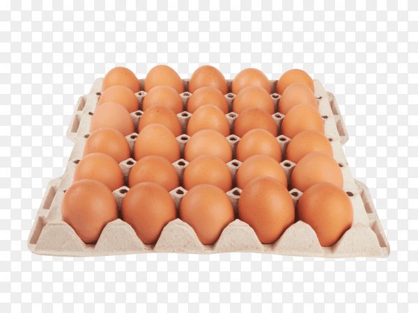 Eggs carton isolated on transparent background PNG