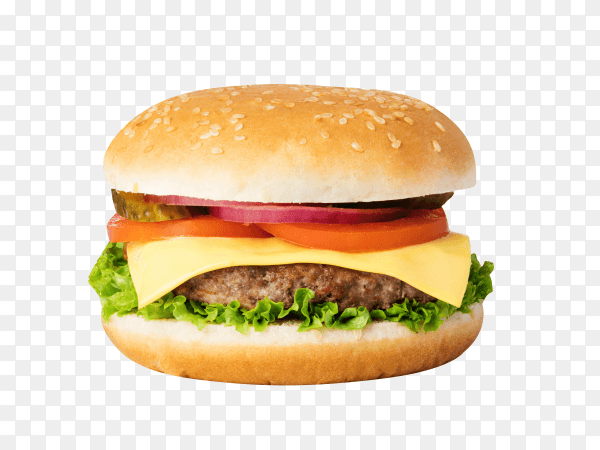 Fresh burger isolated on transparent background PNG