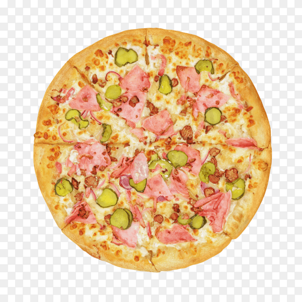 Fresh tasty pizza on transparent background PNG