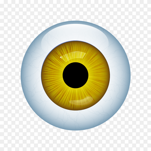 Human eye with veins isolated on transparent background PNG