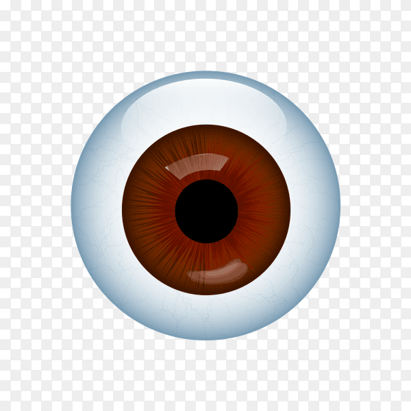 Illustration of Human eye with veins on transparent background PNG