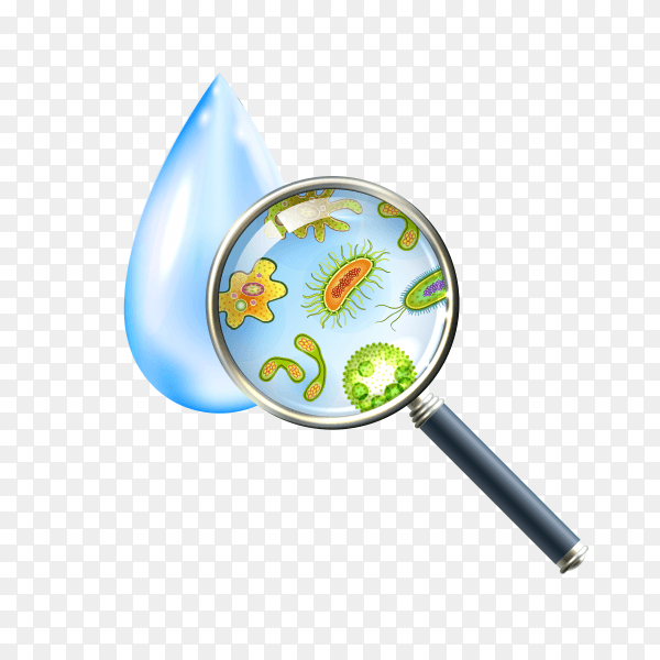 Microorganisms under a magnifying glass design on transparent background PNG