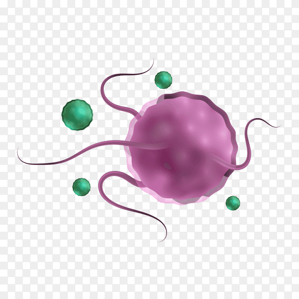 Realistic microscopic virus and bacteria premium vector PNG