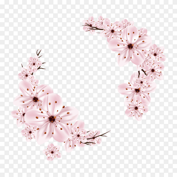 Cherry blossom frame on transparent background PNG