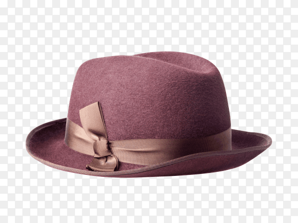 Female felt hat isolated on transparent background PNG