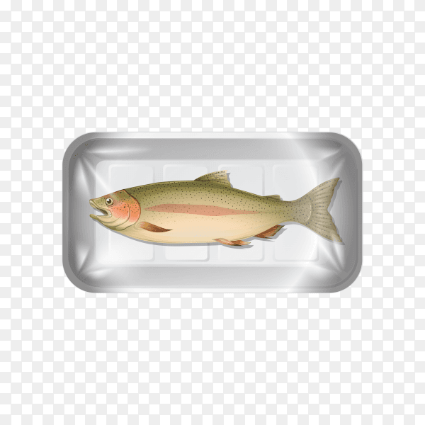 Fish on transparent background PNG