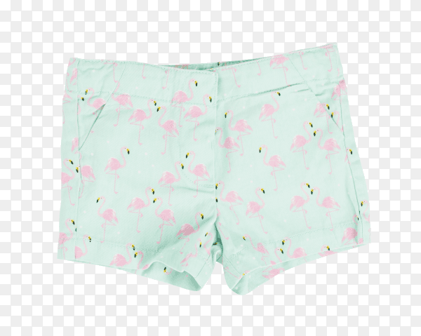 Green shorts with flamingo pattern on transparent background PNG
