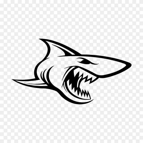 Hand drawn Shark with open mouth on transparent background PNG