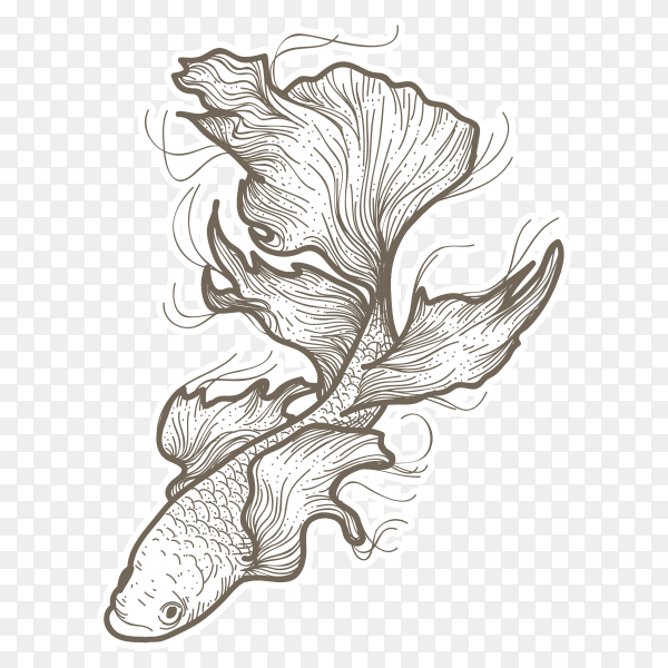 Illustration beautiful betta fish on transparent background PNG