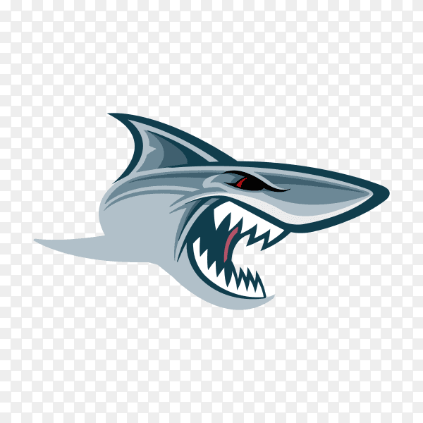 Shark with open mouth on transparent background PNG