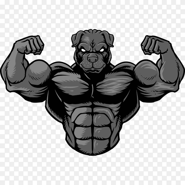 Strong bulldog isolated on transparent background PNG