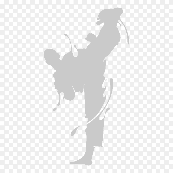 Taekwondo kick splash on transparent background PNG