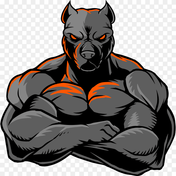 The illustration shows a strong Pit Bull whose body is covered with big muscles on transparent background PNG