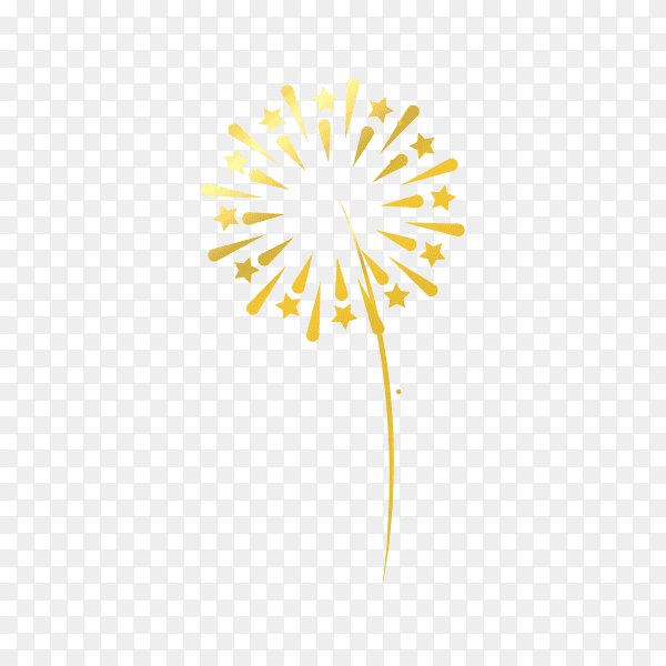 Fireworks isolated on transparent background PNG