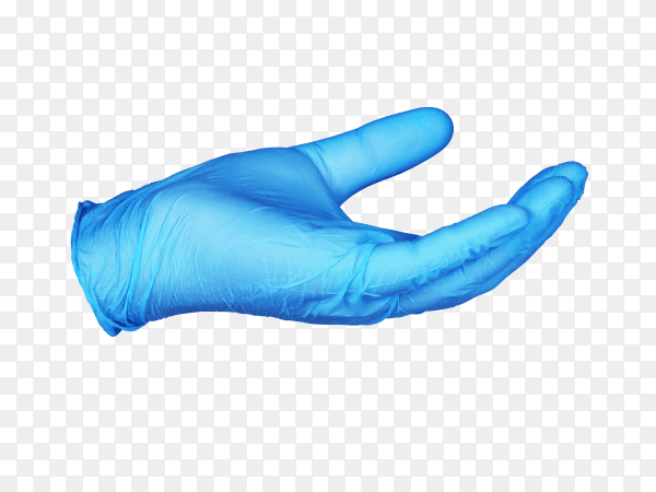 Hand in blue protective glove holding something isolated on transparent background PNG