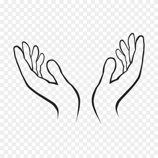 Two hands holding something isolated. Female or male open hands up. Two female hands reaching out for help Line Drawing on transparent background PNG