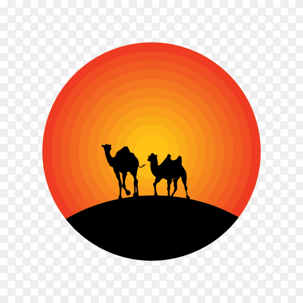 Camel logo design illustration on transparent background PNG