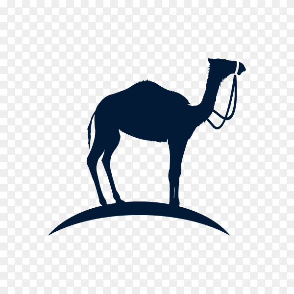 Camel logo design template on transparent background PNG
