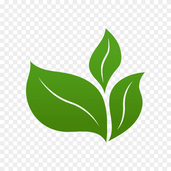 Green leaves logo design on transparent background PNG