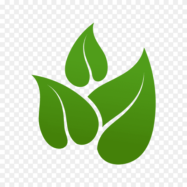 Green leaves logo isolated on transparent background PNG