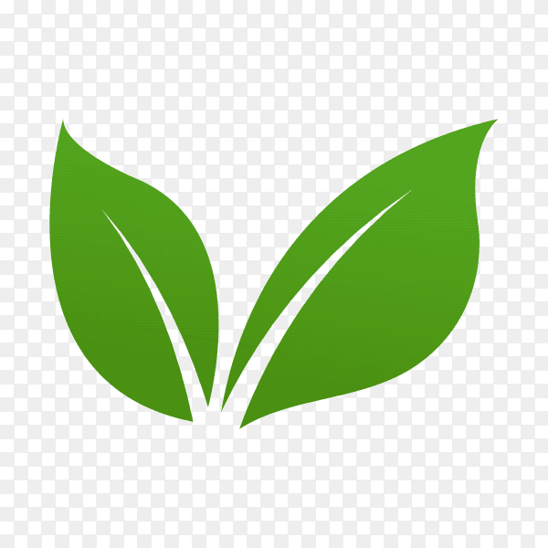 Green leaves logo on transparent background PNG