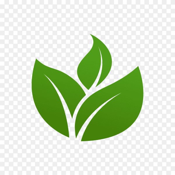 Green leaves logo symbol on transparent background PNG