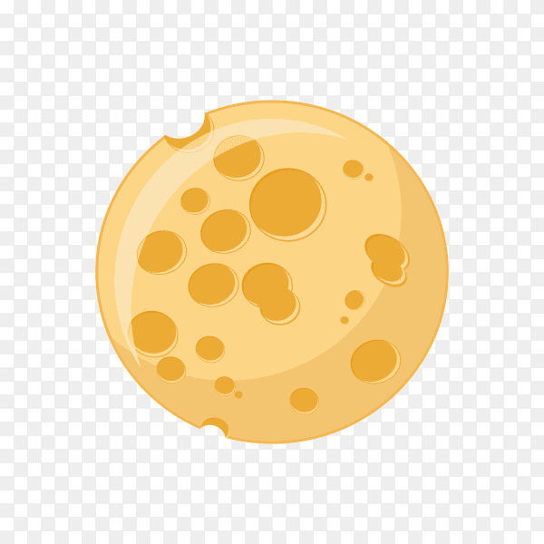 Illustration of Moon phase infographic premium vector PNG