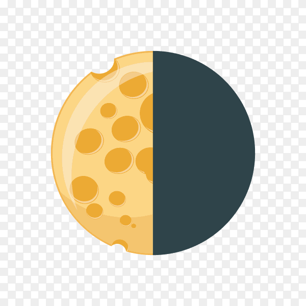 Moon phase infographic on transparent PNG
