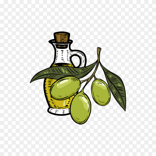 Olive oil logo design on transparent background PNG