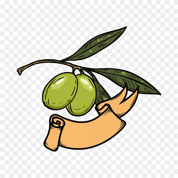 Olive oil logo design template on transparent background PNG