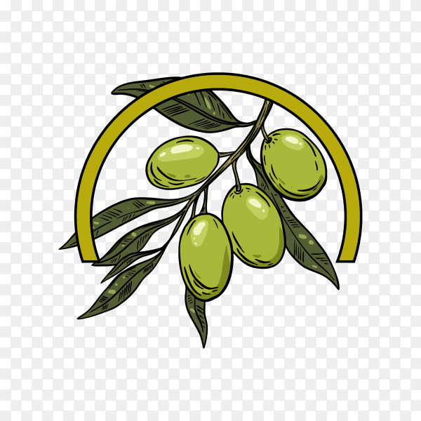 Olive oil logo isolated template on transparent background PNG