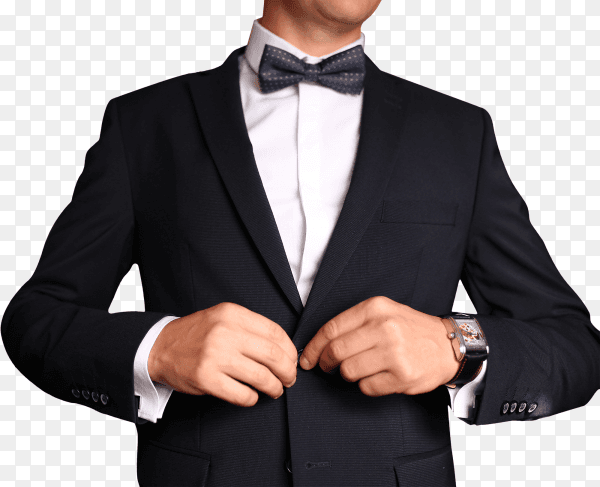 Sharp dressed man wearing jacket and bow tie on transparent background PNG
