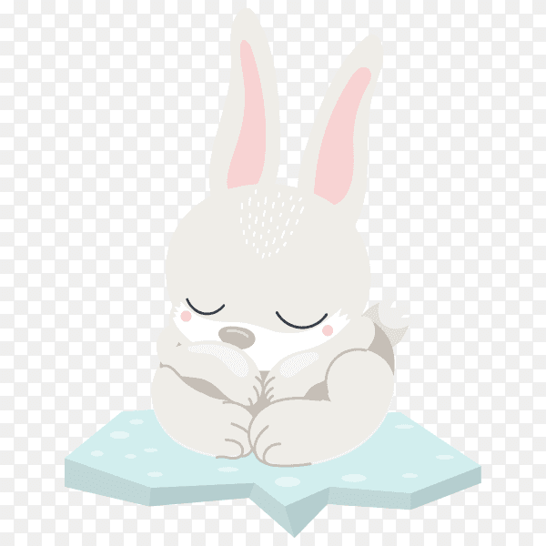 Cartoon cute rabbit on transparent background PNG