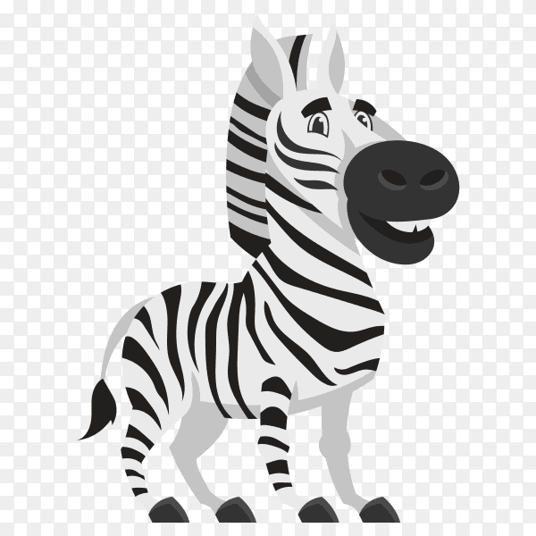 Cut zebra illustration on transparent background PNG