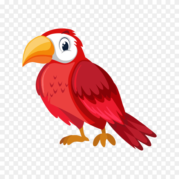 Cute Parrot on transparent background PNG