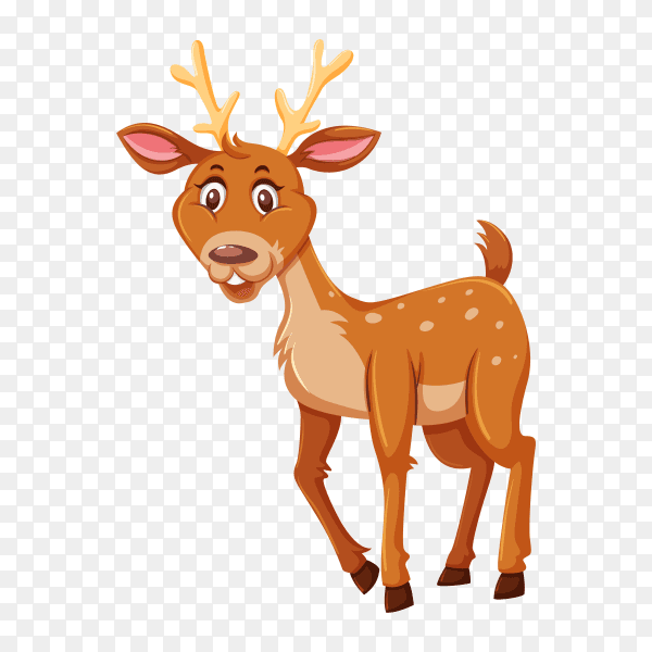 Cute deer on transparent background PNG