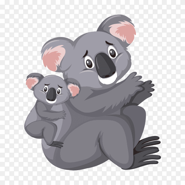 Cute koalas on transparent background PNG