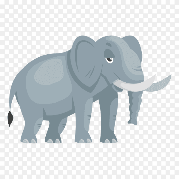 Elephant isolated on transparent background PNG