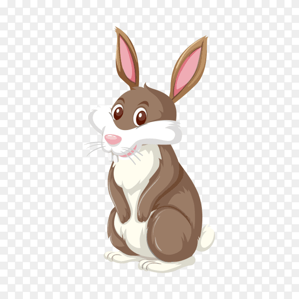 Hand drawn cute rabbit on transparent background PNG