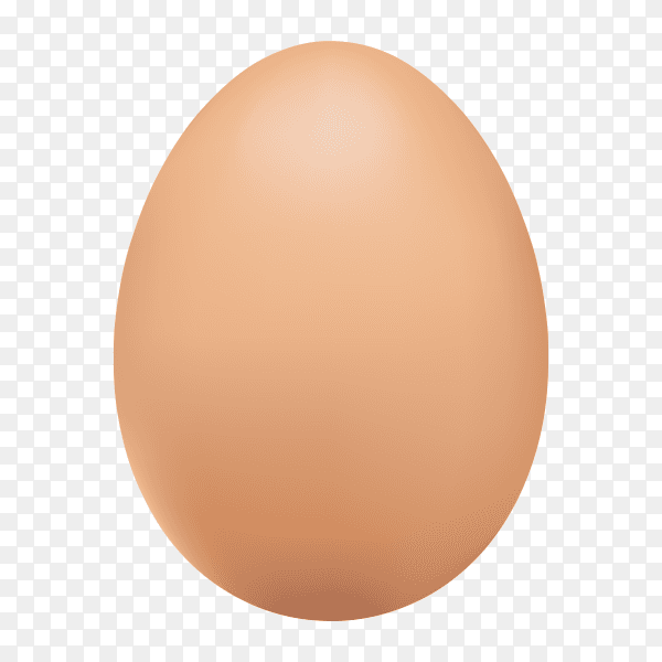 Realistic chicken brown egg on transparent background PNG