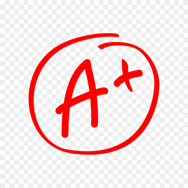 Test exam mark report on transparent background PNG
