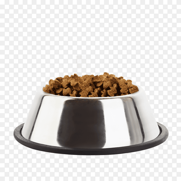 Dog Food Bowl on transparent background PNG