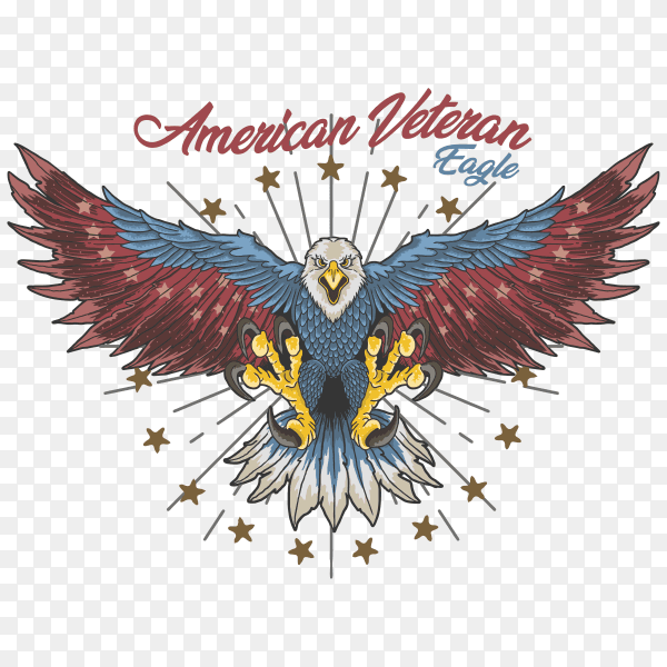 American veteran eagle design on transparent background PNG