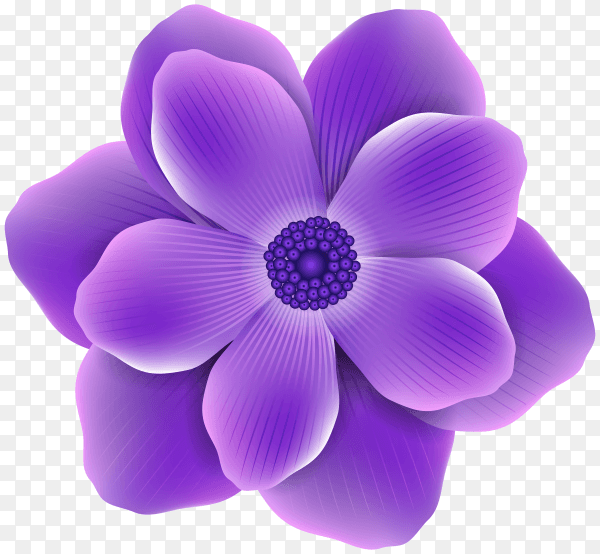 Beautiful purple flower on transparent background PNG