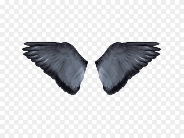 Blue wings on transparent background PNG