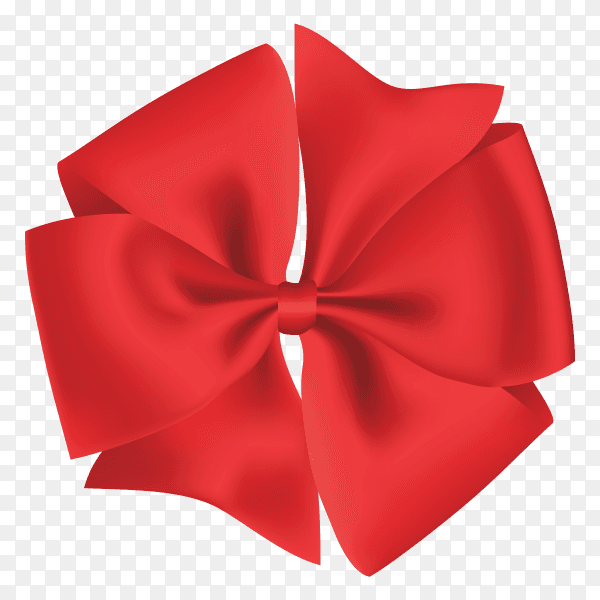 Circular bow isolated on transparent background PNG